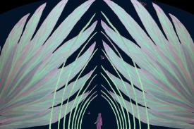Audio Under the Stars: Wild Audio Under the Stars: Wild