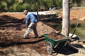 A gardener shovels dirt and soil into a wheelbarrow.