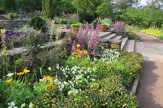 Vibrant plants in the Historic Terraces at Duke Gardens.