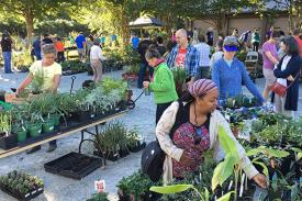 shoppers at the Fall Plant Sale shoppers at the Fall Plant Sale