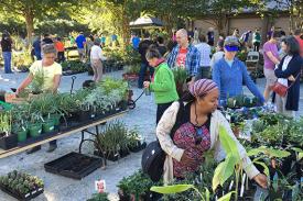 shoppers at the Fall Plant Sale