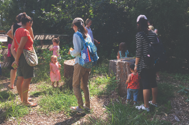 Families explore Duke Gardens.