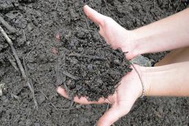 Good soil is the key to garden success
