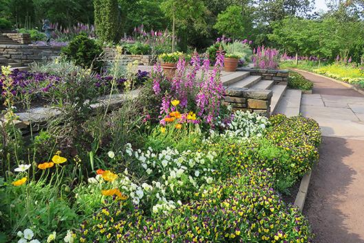 Colorful borders will enhance your garden