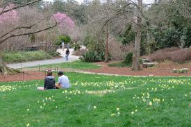 Visitors to Duke Gardens taking in the moment.