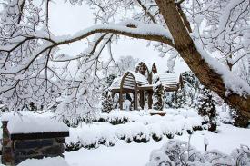 Snowy view of the Page-Rollins White Garden
