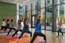 Instructor and 6 students all practicing yoga on their colorful mats inside the student wellness center room that is surrounded by nature