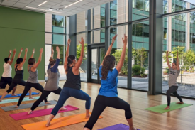 Instructor and 6 students all practicing yoga on their colorful mats inside the student wellness center room that is surrounded by nature