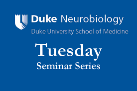 Neurobiology Tuesday Seminar Series