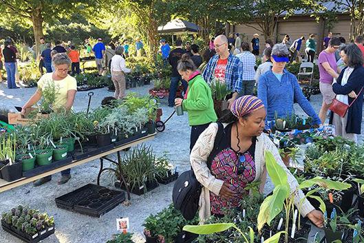shoppers peruse the plant selection at a plant sale