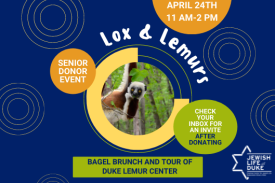 Lox and Lemurs