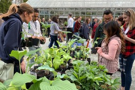 A group of people look at a table full of plants, with a crowd of shoppers behind them