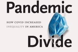 Pandemic Divide Cover