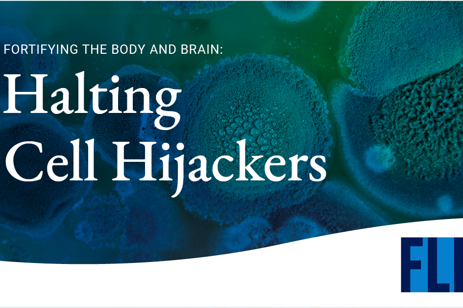 FLI: Fortifying the Body and Brain - Halting Cell Hijackers, Battling for Better Cancer Prevention and Treatment