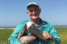 Tom Earnhardt holding a pelican
