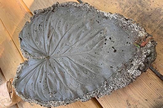 a large leaf shape made of hypertufa concrete blend, sitting on a wood table