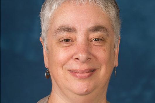 Anne Sales, PhD, RN