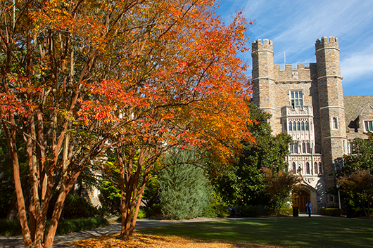 Davison Building in the fall