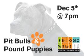 Pit Bull and Pound Puppies Periodic Tables Durham&amp;amp;#39;s Science Cafe December 5th at 7pm