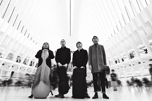 Calidore String Quartet