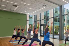 Yoga Yoga