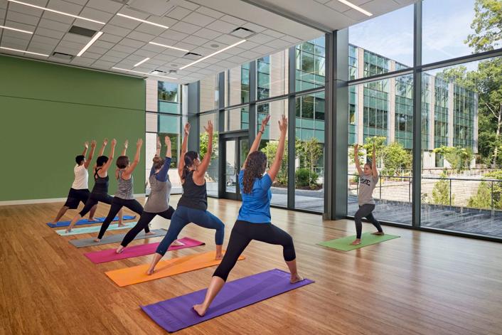 Yoga Yoga