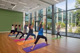 Yoga Yoga