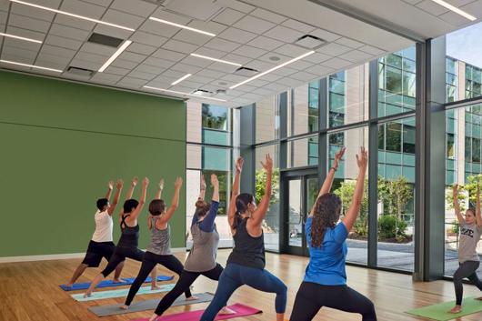 Yoga Yoga