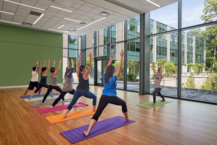 Yoga Yoga