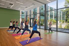 Yoga Yoga