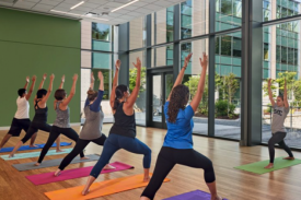 people performing yoga in a large sunlit room people performing yoga in a large sunlit room
