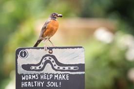 Sign saying "Worms help make healthy soil!" Sign saying "Worms help make healthy soil!"