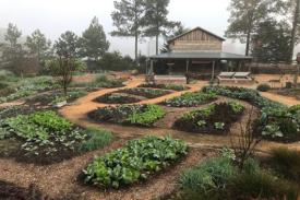 Discovery Garden beds Discovery Garden beds