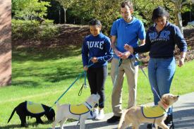 Students walking puppies on leashes