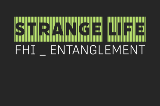 The Entanglement Project logo