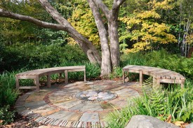Ornamental stone circle with a central apple blossom beneath an ornamental crabapple tree Ornamental stone circle with a central apple blossom beneath an ornamental crabapple tree
