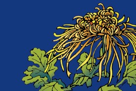 a yellow and orange chrysanthemum flower illustration with green leaves against a blue background