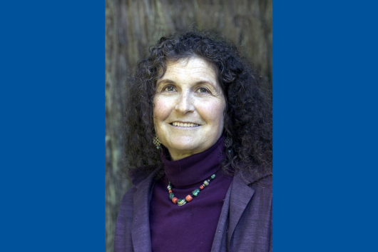 Seminar speaker, Arlene Blum, wearing a purple shirt and blazer