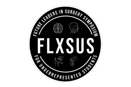 FLXSUS logo