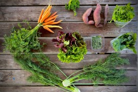 sweet potatoes, lettuce, microgreens, carrots and leafy veegetables atop a wooden table