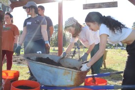 students move mulch from a wheelbarrow to orange buckets