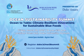 Coral, jellyfish, and bubble elements in background that depict an underwater scene. Text: &quot;Ocean Sustainability Summit. Ocean to Table: Climate-Resilient Innovations for Sustainable Blue Foods. Friday, March 2 8, 2025 | 10a.m.-4:30 p.m. Location: Gross Hall, Duke University, Furham. Limited Space Available - Register Now! Register: https://duke.is/mar28summit. Volunteer: https://duke.is/oceansvolunteer.&quot; Logos included for United Nations Decade of Ocean Science for Sustainable Development, Duke Oceans Week, and Oceans@Duke.