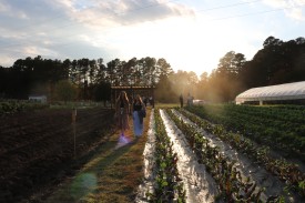 Duke Campus Farm