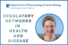 Jean Cook, PhD